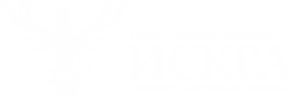 Центр самореализации "Искра"